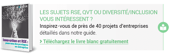 Innovation et RSE : panorama des pratiques en entreprise